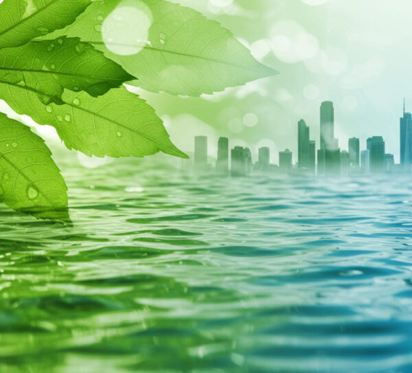 Image_fx - 2025-09-12T112141.607 (1)