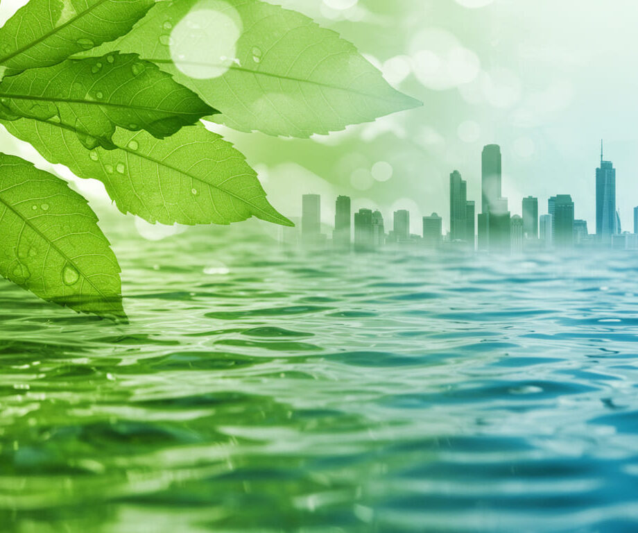 Image_fx - 2025-09-12T112141.607 (1)